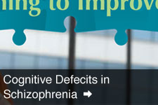 View Cognitive Defecits in Schizophrenia Collateral Images